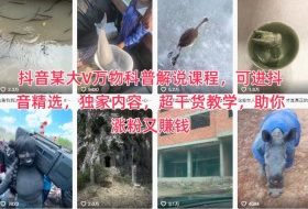 抖音某大V万物科普解说课程，可进抖音精选，独家内容，超干货教学，助你涨粉又賺钱