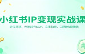 小红书IP变现实战课:定位搭建,光速起号SOP,文案拍摄,0基础也能赚钱