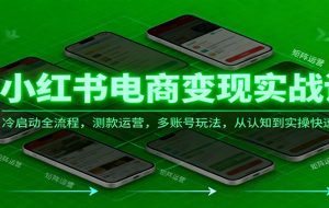 小红书电商变现实战课，冷启动全流程，测款运营，多账号玩法，从认知到实操快速起店