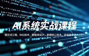 （16666期）AI系统实战课程，提示词工程、RAG技术、智能体设计，掌握核心技术，学员接单月入2万+