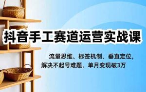 （16667期）抖音手工赛道运营实战课，流量思维、标签机制、垂直定位，解决不起号难题，单月变现破3万