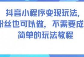 抖音小程序变现玩法，0粉丝也可以做，不需要成本，简单的玩法教程