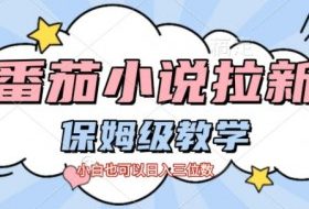 番茄小说拉新，保姆级教程，小白也可以日入三位数