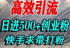 怎么打创业粉?快手求带视角精准引流创业粉,宝妈、学生群体日进500+精准流量