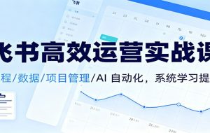 飞书高效运营实战课：日程/数据/项目管理/AI 自动化，系统学习提效