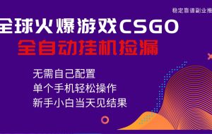 火爆游戏CSGO全自动捡漏，独家最新玩法，单个手机可操作，新手小白日入500+