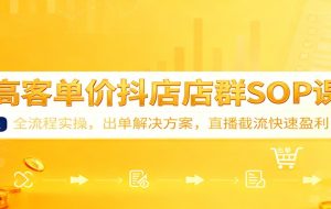 高客单价抖店店群SOP课：全流程实操，出单解决方案，直播截流快速盈利