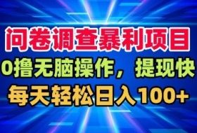 问卷调查暴利项目，0撸无脑操作，提现快，每天轻松日入100+【揭秘】