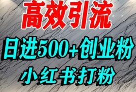 怎么打创业粉？小红书预算3000项目推荐引流精准创业粉，单人操作日引500+精准创业粉