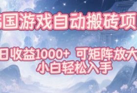 韩国游戏自动搬砖项目，日收益1k+，可矩阵放大，小白轻松入手【揭秘】