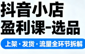 抖音小店盈利课-选品·上架·发货·流量全环节拆解