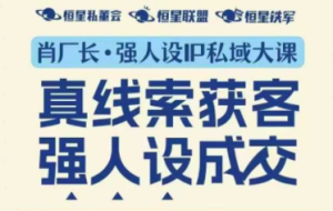 肖厂长·强人设IP私域大课11月深圳站大课（音频+字幕）