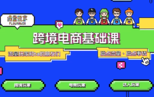 大光·TikTok跨境电商基础课