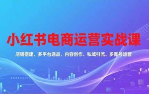 （16695期）小红书电商运营实战课，店铺搭建、多平台选品、内容创作、私域引流、多账号运营等玩法