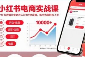 小红书电商实战课，小红书店铺从零到月入过1W全攻略，新手也能轻松上手