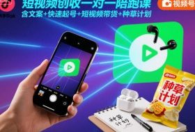 短视频创收一对一陪跑课,含文案+快速起号+短视频带货+种草计划