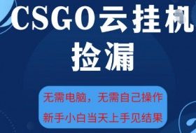 CSGO云挂G全自动捡漏,最新独家玩法,无需电脑操作,新手小白日入5张+【揭秘】