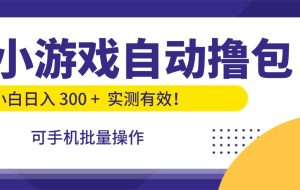 小游戏自动撸包,手机批量操作,小白日入300 +