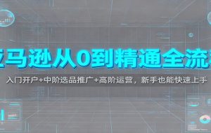 亚马逊从0到精通全流程：入门开户+中阶选品推广+高阶运营，新手也能快速上手