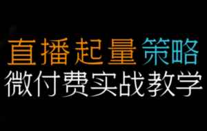 半野老师·直播带货起量与微付费必学课视频号