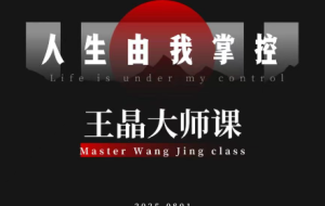 王晶大师课：流量破局-人生由我掌控