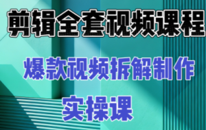 冰糖老师·AI视频制作实操课程（更新11月）