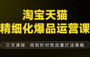 猫课子幽·淘宝天猫精细化爆品运营【音频+字幕+文档】（9月12-14杭州线下课）