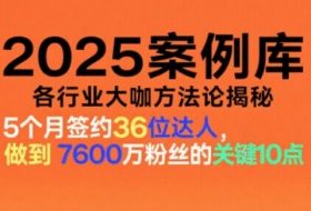 2025案例库，收录各行业大咖的方法论，各行业大咖方法论揭秘