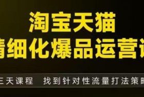 淘宝天猫精细化爆品运营（9月12-14杭州线下课），全方位拆解爆品打造逻辑【音频+字幕+文档】