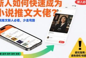 新人如何快速成为小说推文大佬？小说推文新人必看，少走弯路