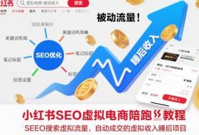 小红书SEO虚拟电商陪跑教程，实现seo搜索被动流量，自动成交的被动收入睡后项目