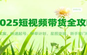 2025短视频带货全攻略：爆款文案，快速起号，种草计划，星图变现，新手零门槛上手