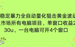 （16737期）电脑EA策略挂机项目单窗口收益20-30u，单电脑可挂5-10个窗口收益稳健4位数