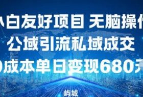 小白友好项目，无脑操作，公域引流私域成交，0成本单日变现680米