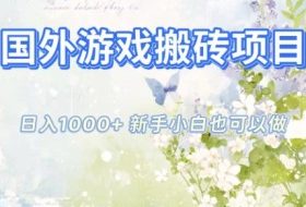 国外游戏搬砖项目，日入1k+，全自动解放双手，新手小白也可做【揭秘】