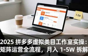 （16748期）2025 拼多多虚拟类目工作室实操：矩阵运营全流程，月入 1-5W 拆解