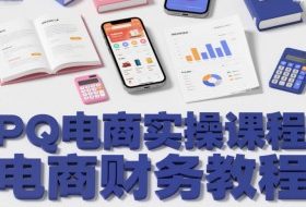 PQ电商实操课程，电商财务教程