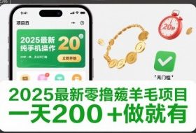 2025最新零撸薅羊毛项目，纯手机操作，20秒一单，无任何门槛，一天200+做就有【揭秘】
