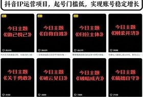 抖音IP运营项目，抖音今日主题玩法，起号门槛低，实现账号稳定增长