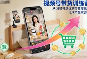 视频号带货训练营，从0到1打造你的带货变现路，低成本在家创业