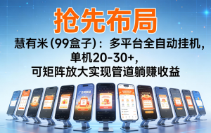 抢先布局慧有米（99盒子）：多平台全自动挂机，单机20-30+，可矩阵实现管道躺赚
