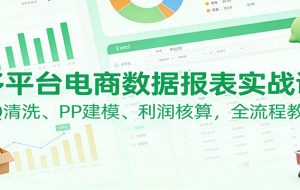 多平台电商数据报表实战课:PQ清洗、PP建模、 利润核算,全流程教学