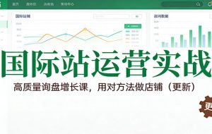 国际站运营实战,高质量询盘增长课,用对方法做店铺(更新)