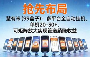 （16757期）【抢先布局】慧有米（99盒子）：多平台全自动挂机，单机20-30+，可矩阵放大实现管道躺赚收益