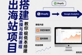 小淘出海站项目，搭建实操与盈利课程，手把手教你用极低成本搭建