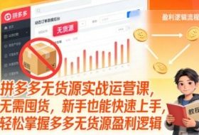 拼多多无货源实战运营课，无需囤货，新手也能快速上手，轻松掌握多多无货源盈利逻辑