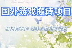 国外游戏全自动搬砖项目，日入10张，新手小白也可做，项目红利期，先搞先吃肉【揭秘】