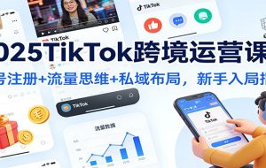 2025TikTok跨境运营课:账号注册+流量思维+私域布局,新手入局指南