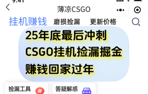 用CSGO游戏挂机捡漏掘金赚钱掘金,一部手机轻松日入500+