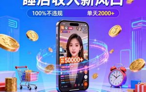 （16822期）淘宝无人直播，不违规不封号，直播100小时卖了5万，年底旺季！